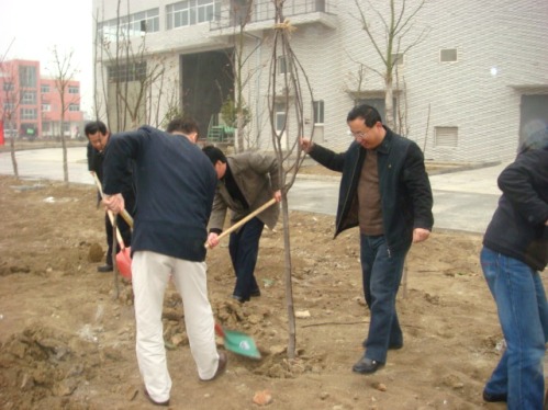 武進(jìn)項目公司開展植樹活動